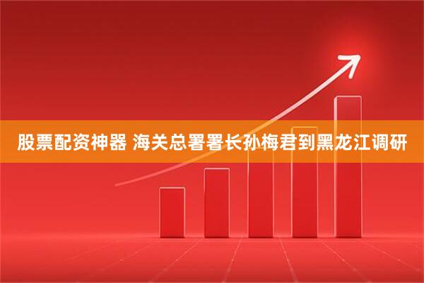 股票配资神器 海关总署署长孙梅君到黑龙江调研